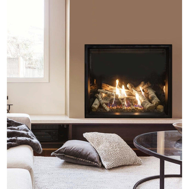 Empire Comfort Systems Vented fireplaces Empire Rushmore TruFlame Clean Face 40" - DVCT40CBP95P/N