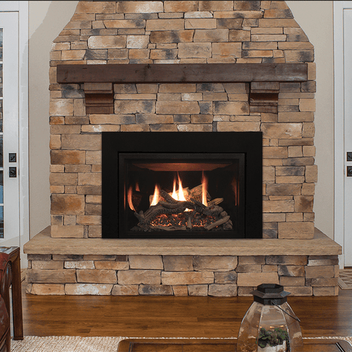 Empire Vented fireplaces Empire Rushmore Insert 30" -  DVCT30CBN95N/P
